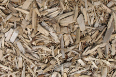 biomass boilers Broxtowe